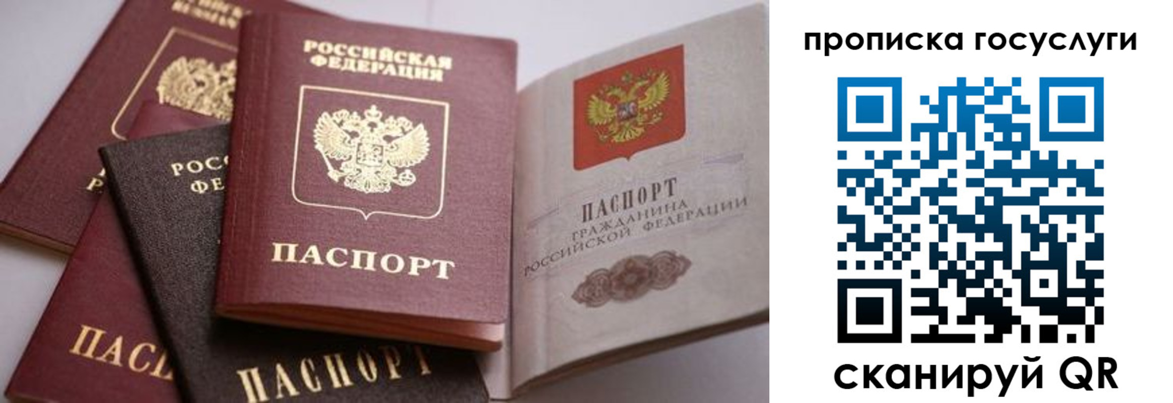 прописка иностранных граждан в Микуни
